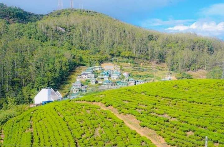 Aloka Home Stay Nuwara Eliya Ngoại thất bức ảnh
